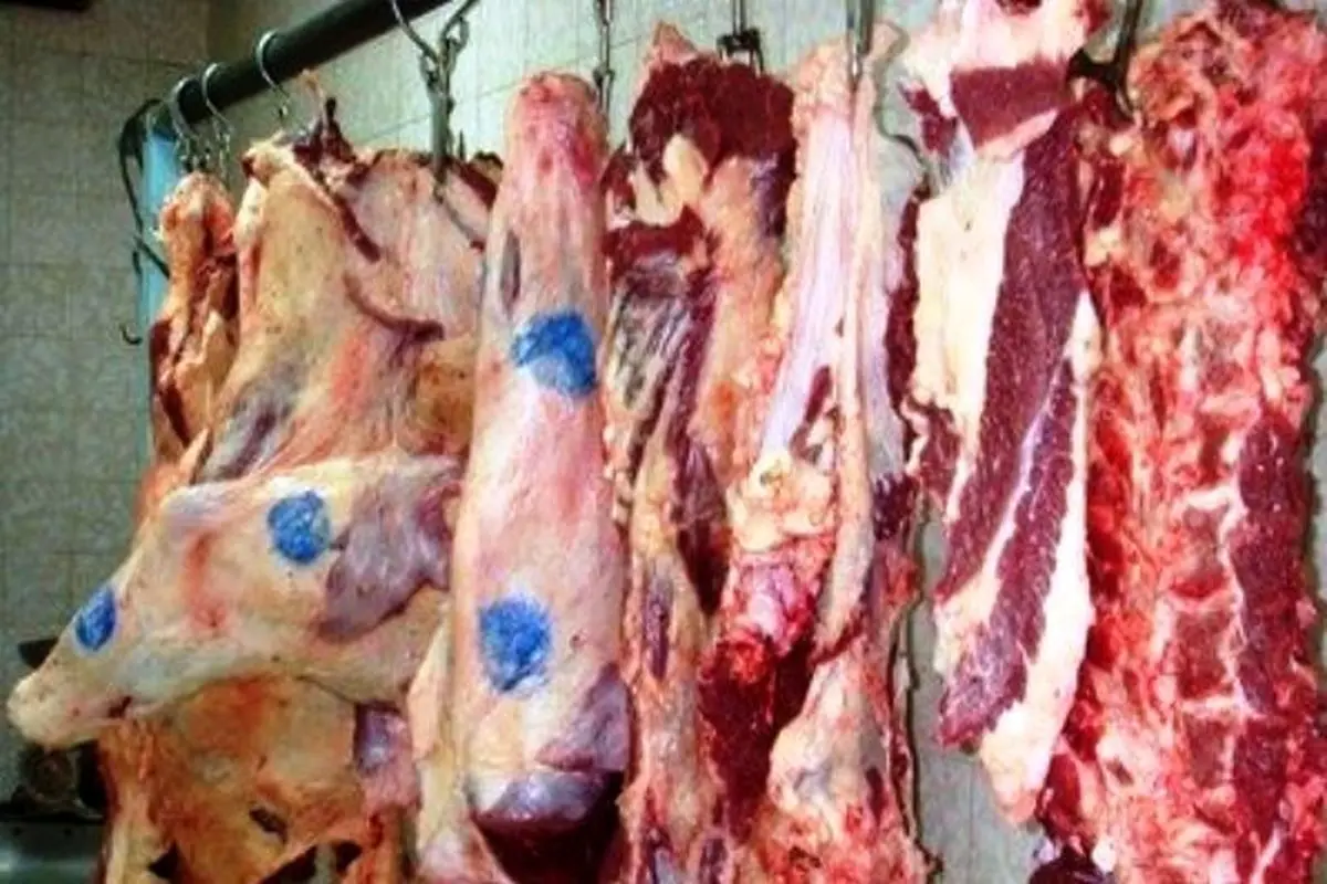 توزیع بیش از ۱۶۰۰ تن گوشت مرغ در اردبیل طی ۸ روز نخست جنگ اخیر