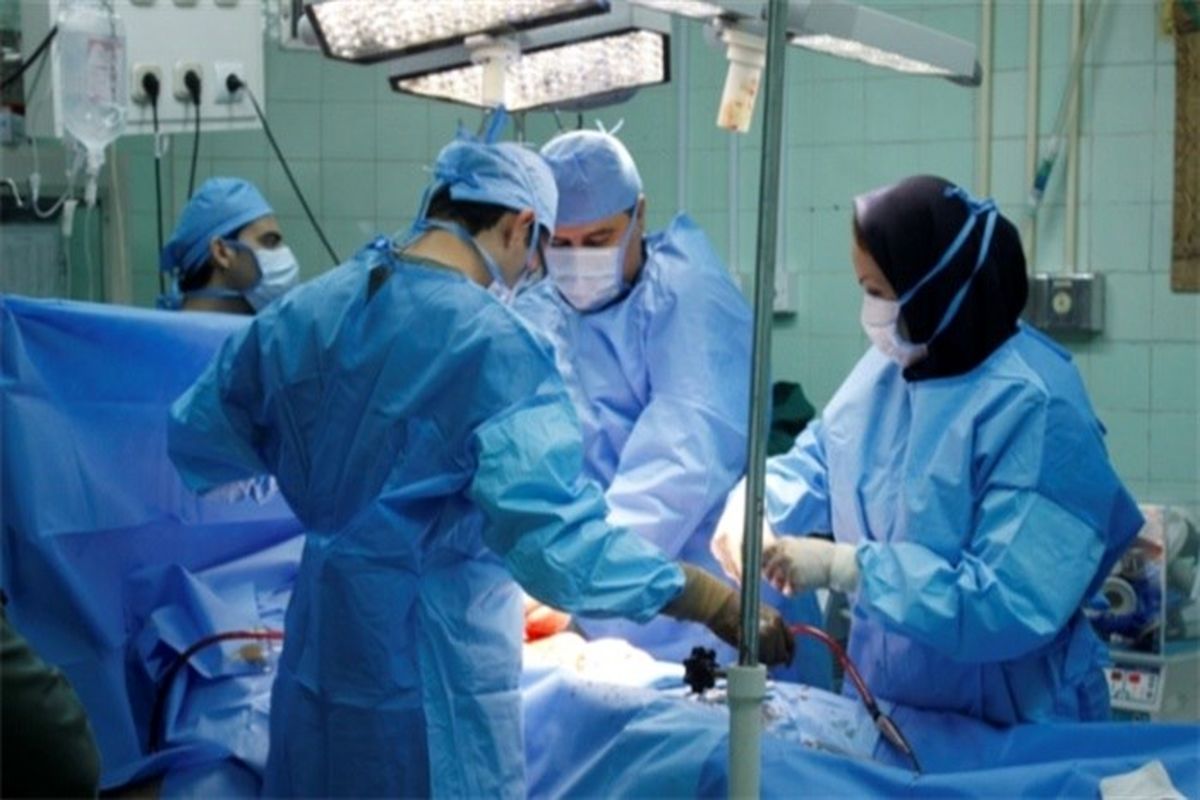 ۶۹۶ پیوند عضو از اعضای ۱۴۳ بیمار مرگ مغزی انجام شده‌است