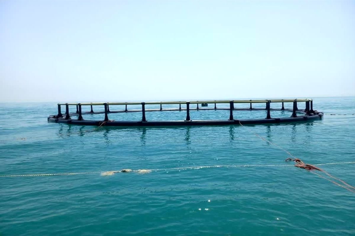 تولید بیش از ۷۵ هزار تن ماهی گرمابی در خوزستان محقق شد