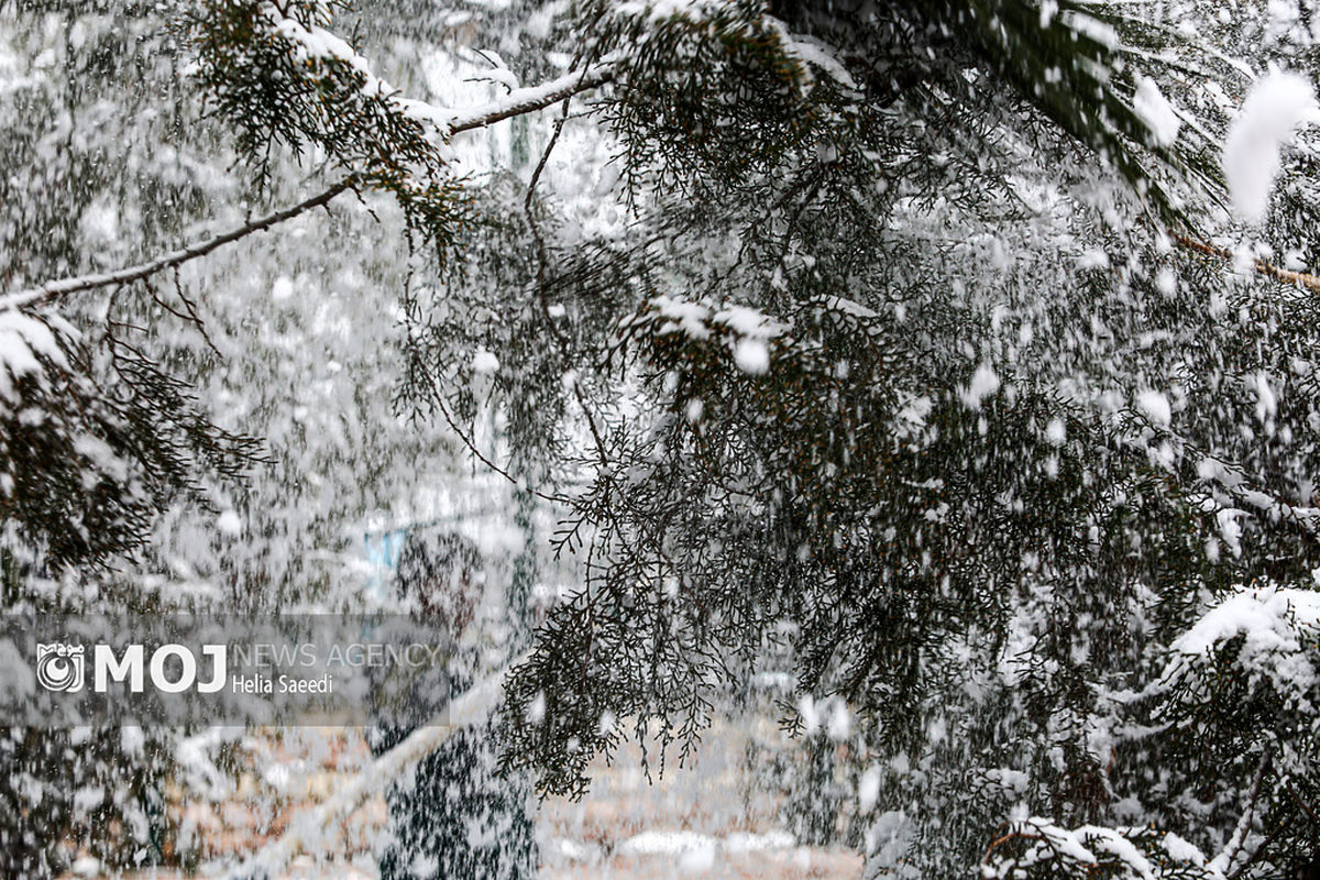 برف و باران تا چهارشنبه مهمان اکثر استان‌ها است