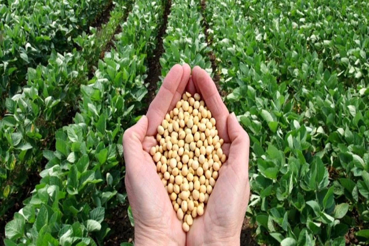 حرکت به سمت کشاورزی دانش‌بنیان در چهارمحال و بختیاری